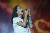 Picture Quotes of Brandon Boyd