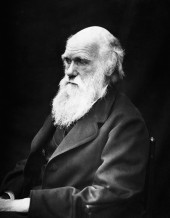 Make Charles Darwin Picture Quote