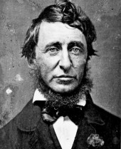Henry David Thoreau Quote Picture
