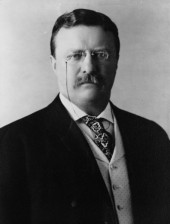 Theodore Roosevelt Picture Quotes