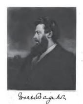 Quotes About Inspirational By Walter Bagehot