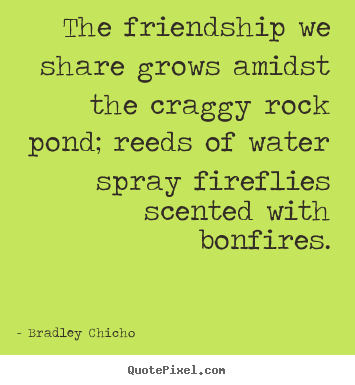 Design custom image quotes about friendship - The friendship we share grows amidst the craggy..