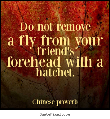 Do not remove a fly from your friend's forehead with a hatchet. Chinese Proverb top friendship quotes