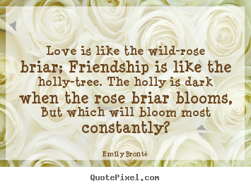 Design custom picture quotes about friendship - Love is like the wild-rose briar; friendship is like the holly-tree. the..