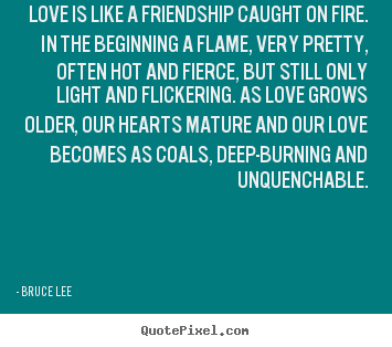 Quote about friendship - Love is like a friendship caught on fire. in the beginning..