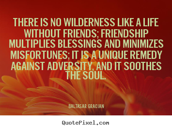Quotes about friendship - There is no wilderness like a life without friends; friendship multiplies..