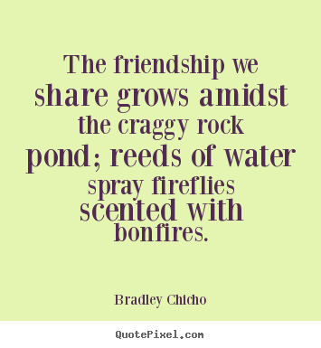Friendship quotes - The friendship we share grows amidst the craggy rock..