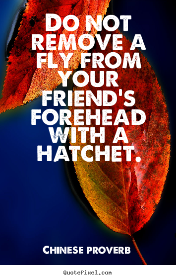 Chinese Proverb picture quotes - Do not remove a fly from your friend's forehead with.. - Friendship quotes