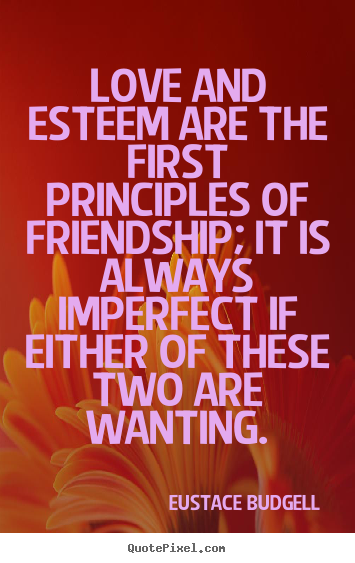 Friendship quotes - Love and esteem are the first principles of friendship; it is always..
