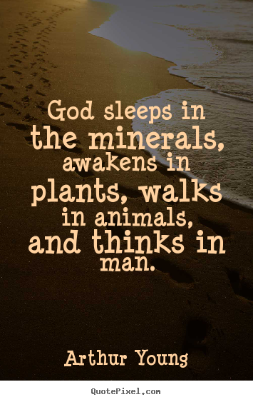 Make personalized picture quotes about inspirational - God sleeps in the minerals, awakens in plants, walks in..