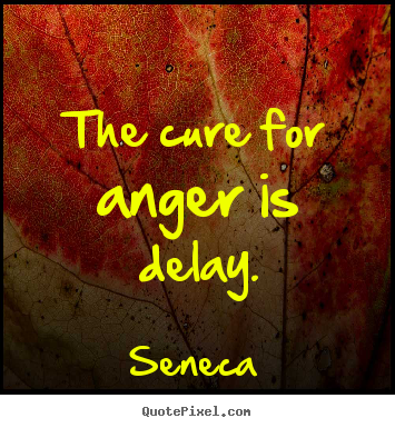 Quote about inspirational - The cure for anger is delay.