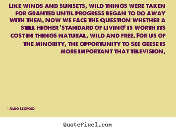 Life quote - Like winds and sunsets, wild things were..