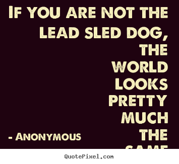 Life quotes - If you are not the lead sled dog, the world looks pretty much the..