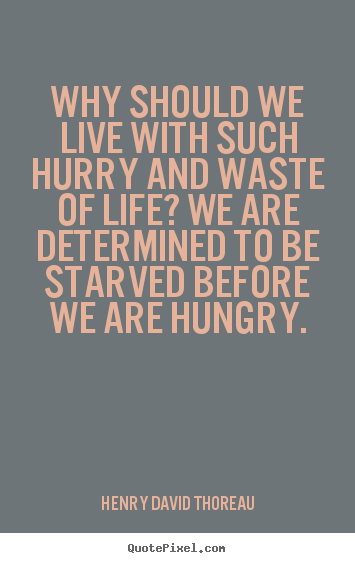 Make custom picture quotes about life - Why should we live with such hurry and waste of life? we are determined..