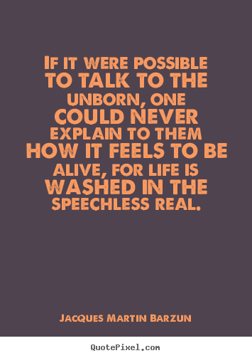 Life quotes - If it were possible to talk to the unborn, one could never explain..