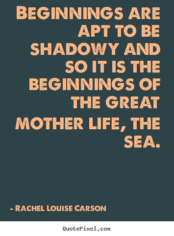 Life sayings - Beginnings are apt to be shadowy and so it is the beginnings..