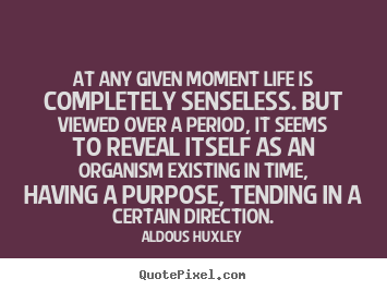 Create custom picture quotes about life - At any given moment life is completely senseless. but viewed over..