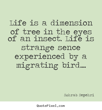 How to design picture quotes about life - Life is a dimension of tree in the eyes of an insect. life is strange..