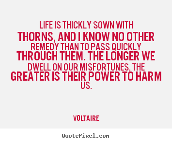 Quotes about life - Life is thickly sown with thorns, and i know no other remedy than..