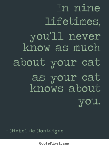 Michel De Montaigne picture quote - In nine lifetimes, you'll never know as much about.. - Life quotes