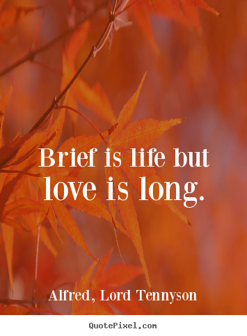 How to make picture quotes about life - Brief is life but love is long.
