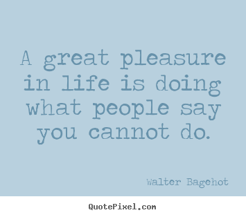 Life quotes - A great pleasure in life is doing what people..