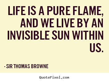 Life quotes - Life is a pure flame, and we live by an invisible sun within us.