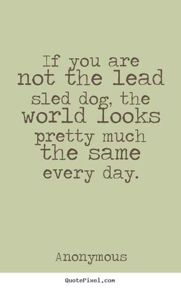 Quotes about life - If you are not the lead sled dog, the world looks pretty..