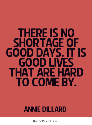 There is no shortage of good days. it is.. Annie Dillard  life quote