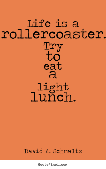 Life is a rollercoaster. try to eat a light lunch. David A. Schmaltz great life quotes