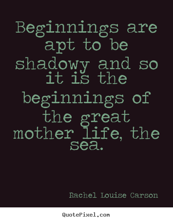 Beginnings are apt to be shadowy and so it is the beginnings.. Rachel Louise Carson  life quotes