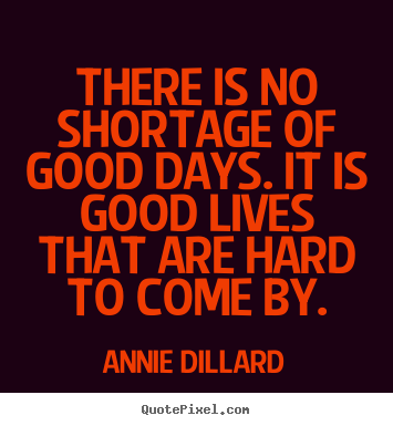 There is no shortage of good days. it is good lives that.. Annie Dillard great life quote