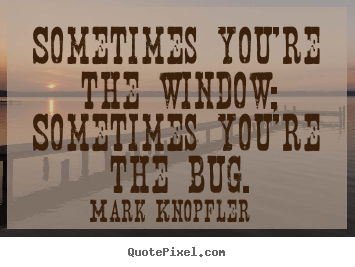 Quote about life - Sometimes you're the window; sometimes you're the bug.