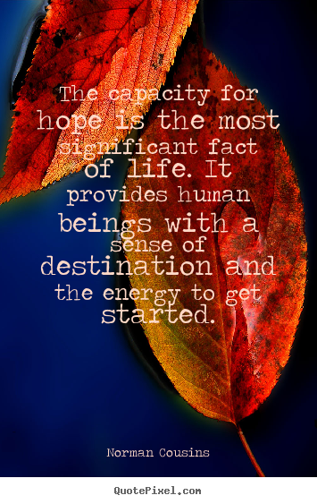 Life quotes - The capacity for hope is the most significant fact of life. it provides..