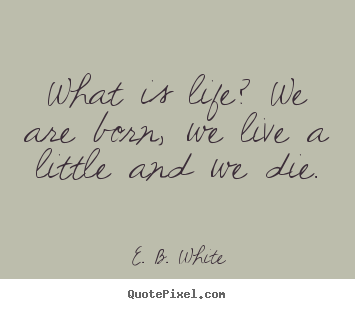 Life quotes - What is life? we are born, we live a little and we die.