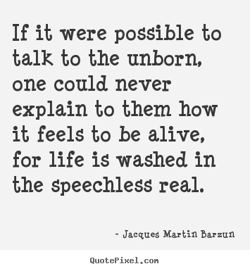 Life quote - If it were possible to talk to the unborn, one could never explain..
