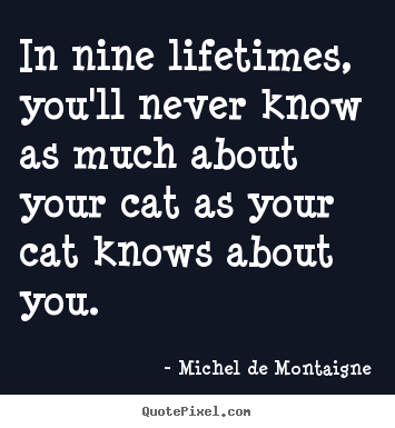 Quotes about life - In nine lifetimes, you'll never know as much about your cat as your..