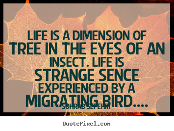 Life quotes - Life is a dimension of tree in the eyes of an insect...
