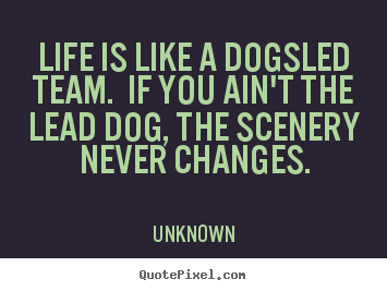 Life is like a dogsled team. if you ain't the lead.. Unknown best life quotes