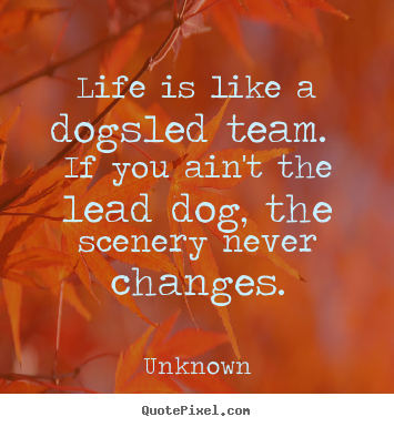Make picture quotes about life - Life is like a dogsled team. if you ain't the lead dog, the scenery..