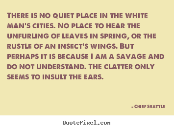 There is no quiet place in the white man's cities... Chief Seattle great life quotes