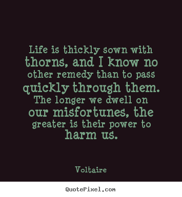 Life is thickly sown with thorns, and i know no other remedy than to pass.. Voltaire greatest life quotes