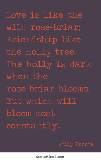 Love quote - Love is like the wild rose-briar; friendship like the..