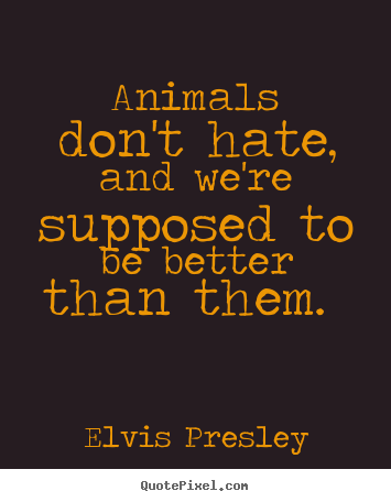Quotes about love - Animals don't hate, and we're supposed to..