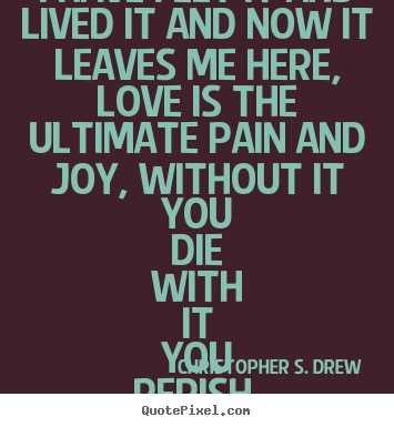 Christopher S. Drew image quotes - I have felt it and lived it and now it leaves.. - Love quotes