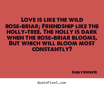 Quotes about love - Love is like the wild rose-briar; friendship like the holly-tree...