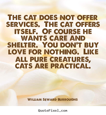 Make custom picture quotes about love - The cat does not offer services. the cat offers..