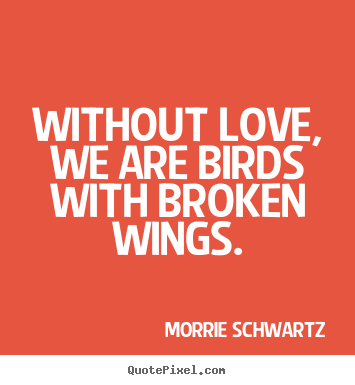 Morrie Schwartz picture quotes - Without love, we are birds with broken wings. - Love quote