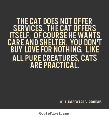 The cat does not offer services. the cat offers.. William Seward Burroughs  love quotes