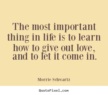 Morrie Schwartz poster quotes - The most important thing in life is to learn.. - Love quote